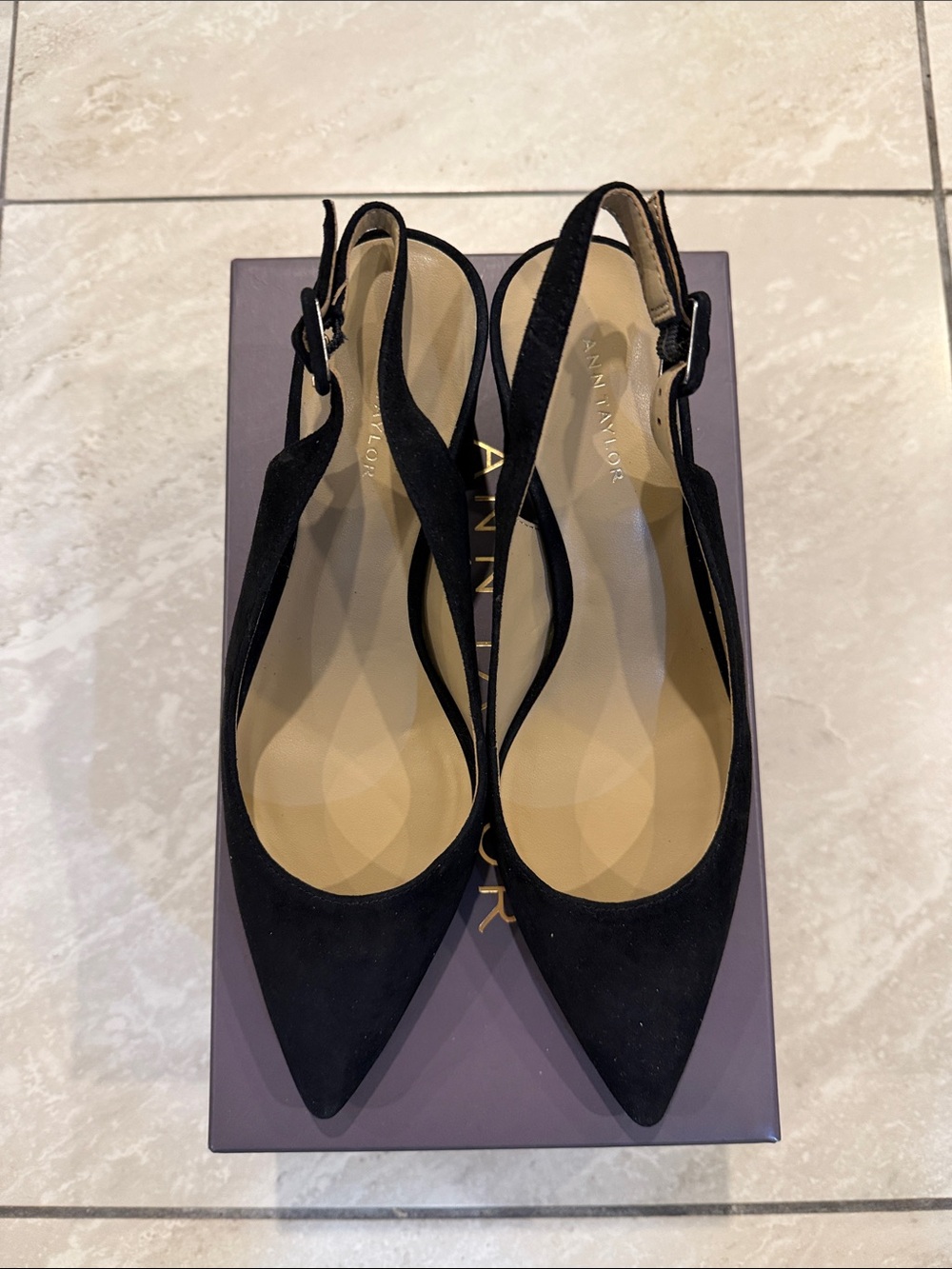 Ann Taylor Black Pointed Slingback block heels
